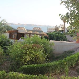 Nefertari Hotel Abu Simble